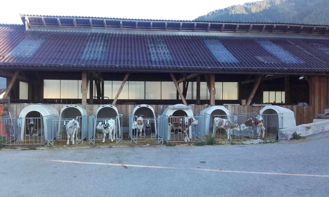 Ferienhaus Reinfrank Санкт Михаел им Лунгау Екстериор снимка